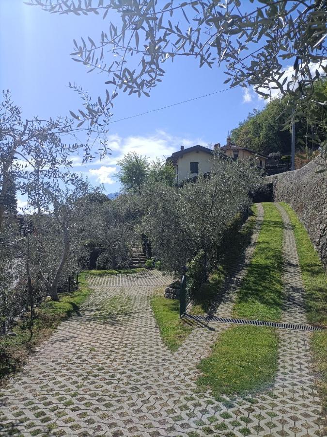Casa Delle Olive 1 Apartment Oliveto Lario Exterior photo